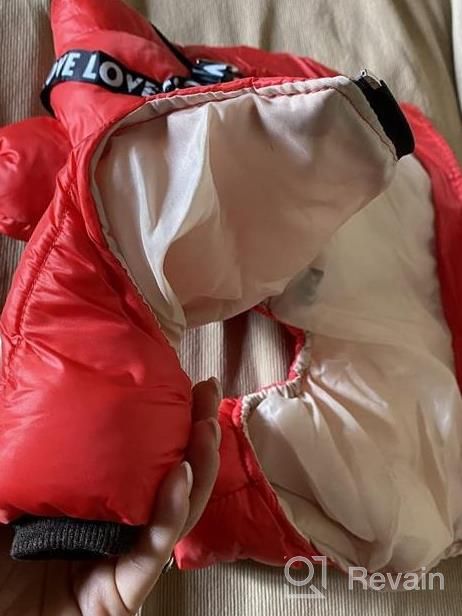 img 1 attached to Didog Winter Small Dog Coats: Waterproof, Warm & Harness Compatible For Puppy & Cat Walking Hiking - Red (Chest 13") review by Kyle Rock