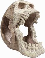 penn plax reptology skull hide away reptiles logo