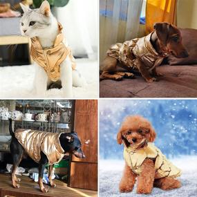 img 1 attached to 🐶 Warm Winter Dog Coat with Fleece Lining - Small Dog Puppy Jacket, Windproof & Cozy Pet Clothes for Chihuahua, Teddy & Poodles in Cold Weather