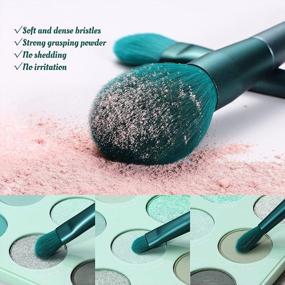 img 2 attached to Eigshow Premium Synthetic Makeup Brush Set For Foundation, Powder, Concealer, Blending, Eye Shadow And Face Kabuki - Jade Green Makeup Brush Sets With Cylinder