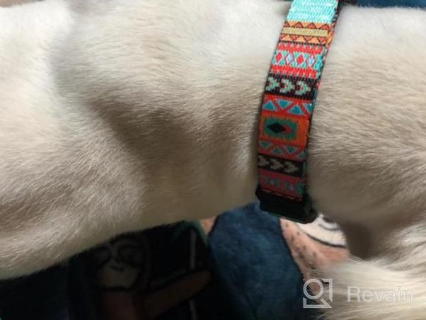 img 1 attached to Trendy Yet Practical: Adjustable Tribal Dog Collar With A Quick Release Buckle For Small To Large Breeds review by Brad Fleming