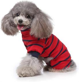 img 4 attached to 🐶 Trendy Four-Legged Turtleneck Dog Costume: Color Stripes Shirt for the Stylish Pup!