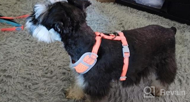 img 1 attached to Breathable Reflective No-Pull Mesh Harness For Small-Medium Dogs And Cats - Purple (Size M) review by Darrell Ricks