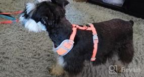 img 6 attached to Breathable Reflective No-Pull Mesh Harness For Small-Medium Dogs And Cats - Purple (Size M)