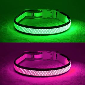 img 3 attached to YFbrite LED Dog Collar – Rechargeable Light Up Collar for Safety and 🐶 Visibility at Night, Adjustable Cat Collar – Suitable for Small, Medium, and Large Dogs