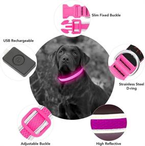 img 2 attached to YFbrite LED Dog Collar – Rechargeable Light Up Collar for Safety and 🐶 Visibility at Night, Adjustable Cat Collar – Suitable for Small, Medium, and Large Dogs