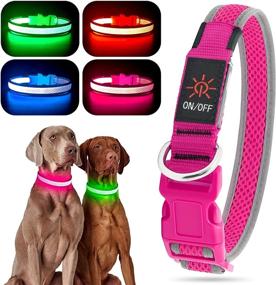 img 4 attached to YFbrite LED Dog Collar – Rechargeable Light Up Collar for Safety and 🐶 Visibility at Night, Adjustable Cat Collar – Suitable for Small, Medium, and Large Dogs