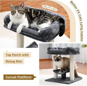 img 2 attached to 🐱 Premium PETEPELA Cat Tree: Plush Top Perch, Curved Platform, and Scratching Post – Ultimate Comfort for Your Feline Friend