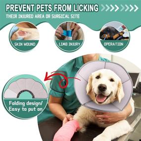 img 3 attached to 🐶 Supet Soft Dog Cone Collar: The Ultimate Comfort Alternative After Surgery - Ideal Elizabethan Dog Recovery Cone Collar for Dogs and Cats of All Sizes