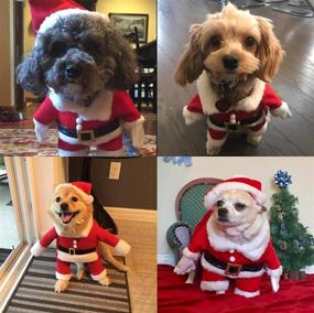 img 2 attached to 🎅 Red Delifur Dog Santa Costume with Hat - Christmas Costume for Small Dog, Cat, Puppy (Size L)