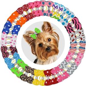 img 3 attached to 🎀 YCSJPET 40pcs Small Dog Cat Hair Bows: Stylish Pet Grooming Accessories for Pet Shows and Parties - GREENENQI