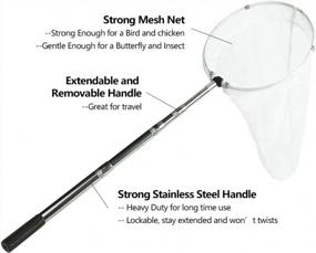 img 3 attached to 38 Inch Telescoping Handle Insect & Butterfly Net - 12" Ring, 24" Depth | RESTCLOUD
