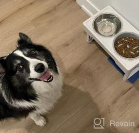 img 6 attached to Регулируемая приподнятая подставка для миски для собак с медленной подачей — идеально подходит для собак любого размера