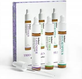img 3 attached to Organic Aromatherapy Gift Set - Tea Tree, Eucalyptus & Lavender Essential Oils For Home Use By Benatu