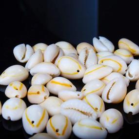 img 1 attached to 60Pcs White Drilled Natural Spiral Shell Beads DIY Craft Jewelry Making Charms And Accessories - Cowrie Seashells Beach Sea Shells