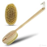 the ultimate natural bristle brush: discover the power of bernard jensen's brush! logo