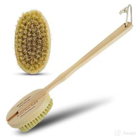 img 4 attached to The Ultimate Natural Bristle Brush: Discover the Power of Bernard Jensen's Brush!