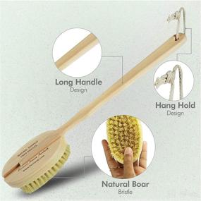 img 1 attached to The Ultimate Natural Bristle Brush: Discover the Power of Bernard Jensen's Brush!