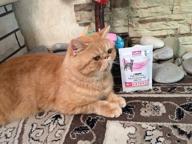 img 1 attached to Pro Plan Veterinary Diets UR wet food for cats with chicken 850 g review by Anastazja Zawada ᠌