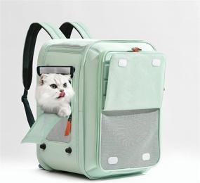 img 4 attached to 🐱 Light Green Cat Carrier Backpack: Foldable, Ventilated, Lightweight & Comfortable for Travel, Hiking, Outdoor Use