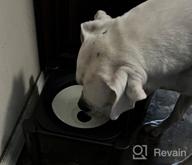 img 1 attached to Raised Dog Water Bowl 3 Height Adjustable Non-Slip Slow Feeder 2.2L Large Capacity No Spill Messy Drinkers For Dogs, Cats & Pets By URPOWER 75Oz review by Chris Crawford