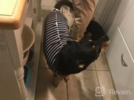 img 1 attached to Breathable Dog Surgical Recovery Suit For Male And Female Dogs - Ideal For Abdominal Wounds And Post-Operation Care, Anti-Licking Cone E Collar Alternative And Dog Vest, By LIANZIMAU review by James Vachon