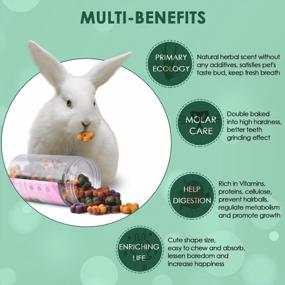 img 2 attached to Delicious And Nutritious Rabbit Treats For Small Animals – KATUMO Hamster Treats With Chinchilla Nibble Snacks - 150G Package
