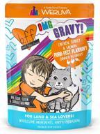 🐱 weruva b.f.f. omg - the ultimate grain-free wet cat food pouches, land & sea recipes in gravy - high-quality ingredients! logo