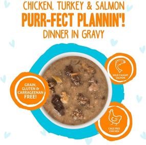 img 3 attached to 🐱 Weruva B.F.F. OMG - The Ultimate Grain-Free Wet Cat Food Pouches, Land & Sea Recipes in Gravy - High-Quality Ingredients!