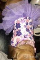 картинка 1 прикреплена к отзыву 👗 QingLuo Sweet Puppy Dog Princess Dress - Pink/Purple Bow Lace Tutu Skirt - Doggie Dress for Dog/Cat (X-Small, Purple) от Jayshawn Webb