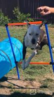 img 1 attached to Outdoor Dog Agility Training Equipment - PAWISE Jump Ring For Dog Exercise And Play In The Playground review by Jacob Morrison