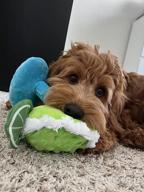 img 1 attached to Best Bundle Of BarkBox Toys For Dogs - Squeaky And Plush Chew Toys For Puppies And Pets Of All Sizes - Featuring Gordon The Sloth, Dingbert The Dragon, And Ollie The Octopus review by Jason Lewis