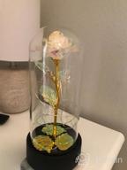 img 1 attached to Sunflower Decor Gifts For Women, You Are My Sunshine Music Box, Sunflower Artificial Flowers In Glass Dome With Led Light, Christmas Anniversary Thanksgiving Birthday Gifts For Mom Wife Grandma Friend review by Kristopher Rodriguez