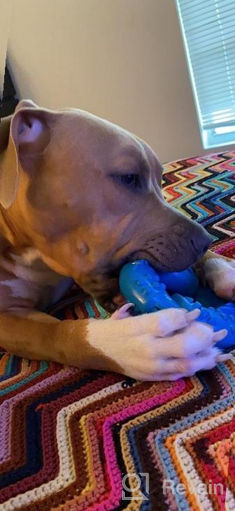 img 1 attached to EASTBLUE Natural Rubber Dog Chew Toy For Aggressive Chewers: Indestructible Durable Puppy Toy, Tough And Long-Lasting For Medium And Large Dogs review by Darren Munajj