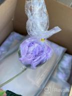 img 1 attached to Realistic And Elegant DIY Wedding Flowers: Get 12Pcs Of DIGIROOT Artificial Silk Rose Flowers In Champagne Color For Home And Party Decorations review by Garry Ortiz