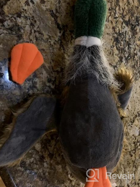 img 1 attached to Wangstar Mallard Duck Dog Toy - Squeaky, Plush And Perfect For Small To Medium Sized Dogs! review by Marvin Perry