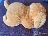 img 1 attached to KMUYSL Puppy Stuffed Animals Toys For Ages 3 4 5 6 7 8+ Years Old Kids - Mommy Dog With 4 Baby Puppies In Her Tummy, Idea Xmas Birthday Gifts For Baby, Toddler, Girls, Boys review by Jason Martinez