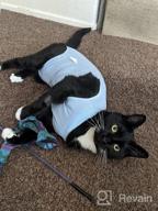 img 1 attached to 🐱 Surgical Abdominal Wound Recovery Suit for Cats - Indoor Pet Clothing & E-Collar Alternative Pajama Suit After Surgery review by Leonard Henry