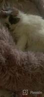 картинка 1 прикреплена к отзыву Topmart Plush Calming Dog & Cat Bed - Washable Donut Cuddler For Anti Anxiety - 36" × 36", Beige от Arun Berry