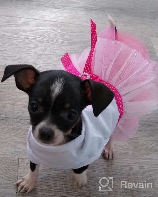 img 1 attached to Small Flower Pink Puppy Tutu Skirt Dog Dress - Cute And Stylish Pet Outfit! review by Bubba Ott