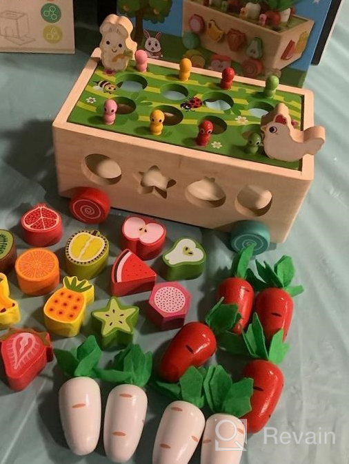 img 1 attached to Gift Toy For Baby Boys Girls 1-3 Years Old: SKYFIELD Montessori Wooden Garden Color Shape Fruit Sorting Orchard Cart Farm Game - Develop Fine Motor Skills! review by Anthony Boylan