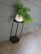 img 1 attached to Black Amazon Basics Plant Stand - Elevate Your Greenery! review by Scott Lavimodiere