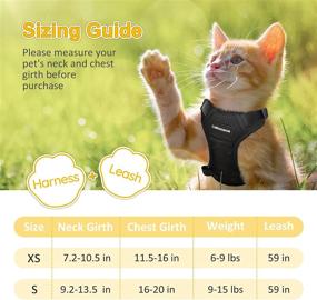 img 3 attached to 🐱 Escape Proof CatRomance Harness Set – Breathable Mesh Cat Walking Harness with Reflective Strips and Adjustable Leash – Kitten Vest Harness and Leash Bundle