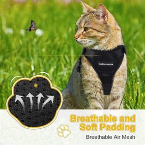 img 2 attached to 🐱 Escape Proof CatRomance Harness Set – Breathable Mesh Cat Walking Harness with Reflective Strips and Adjustable Leash – Kitten Vest Harness and Leash Bundle