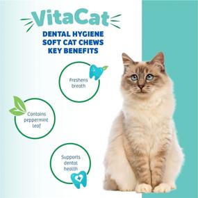 img 3 attached to 🐟 VitaCat Tuna Flavored Dental Care Treats: Natural, USA-Made Supplement for Healthy Teeth & Gums, Fresh Breath Boost - 60 Tasty Chews