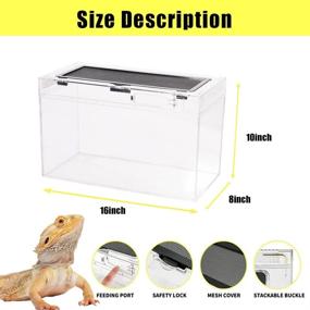 img 3 attached to 🐍 16" x 8" x 10" Acrylic Reptile Tank Breeding Terrarium: Ideal for Corn Snakes, Bristle Lizards, Hermit Crabs, and Insect Breeding