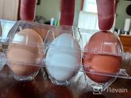 img 1 attached to Toplife Clear Plastic Eco-Friendly Egg Carton Set - 60 Ct., Securely Holds 6 Eggs with Sticker Labels review by Duane Rogers