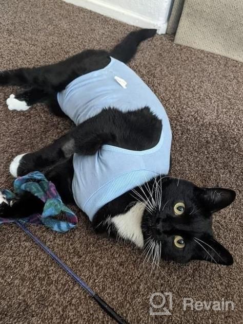 img 1 attached to Cat Surgery Recovery Pajama Suit - E-Collar Alternative For Abdominal Wound Treatment At Home review by Jason Melvin