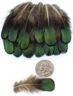 lollibeads (tm) 20 pcs green lady amherst bronze iridescent plumage feathers inches long 2-3 inches логотип