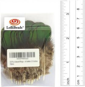 img 2 attached to LolliBeads (TM) 20 Pcs Green Lady Amherst Bronze Iridescent Plumage Feathers Inches Long 2-3 Inches